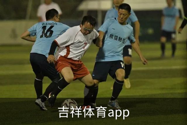 吉祥体育app 公司介绍